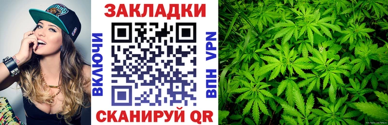 Где купить наркотики Волосово Псилоцибиновые грибы  Меф  A-PVP  МАРИХУАНА  ГАШИШ  Cocaine 
