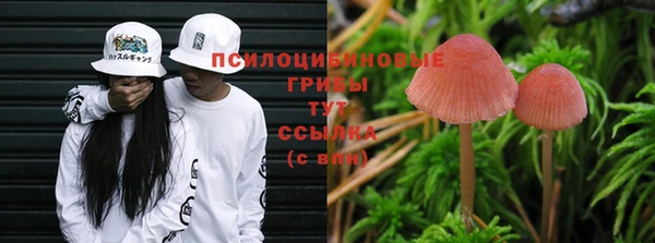 прущая мука Богданович