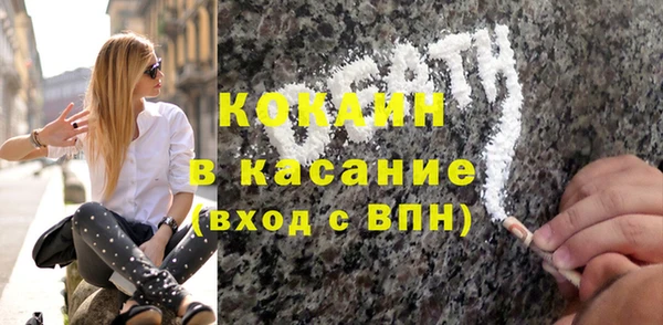 дживик Богородицк