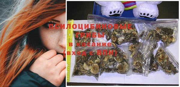 прущая мука Богданович