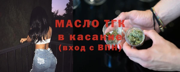 крисы Богородск
