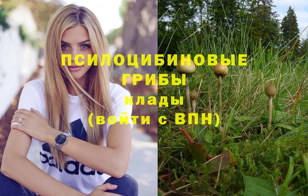 прущая мука Богданович