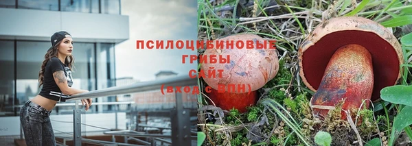 дживик Богородицк