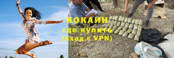 крисы Богородск